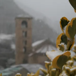 Pensión El Forn, Beget